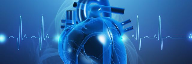 Infarto cardiaco: scoperto un ormone chiave per rigenerare il cuore